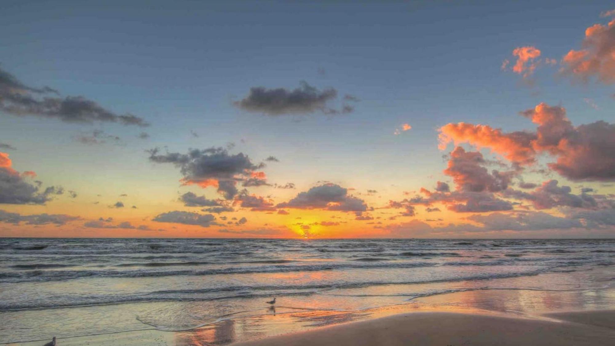 Sleeps 4, Value Retreat - Free Garage Pet Friendly Apartamento Corpus Christi Exterior foto